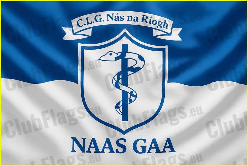 Sponsorship in Naas Ladies GAA Team